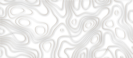 Abstract topographic contours 3d map background .topographic line texture background .monochrome image .stylized height of the topographic map contour in lines.	