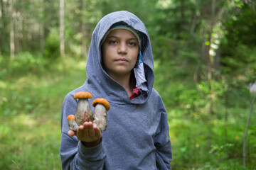 The girl holds edible mushrooms in her hand.