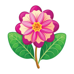 Primrose Flower Illustration on White Background