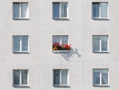 Window house building flower