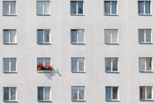 Window house building flower