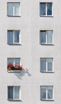 Window house building flower