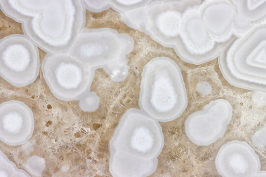 Intrincate Patterns In The Interior Of A Moctezuma Agate 