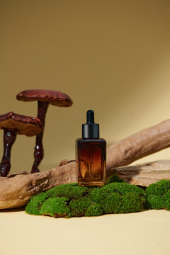 Serum Glass Bottle on moss and wooden background