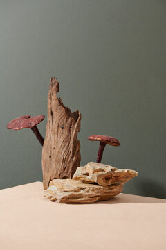 Advertising scene for product with ingredient from ganoderma