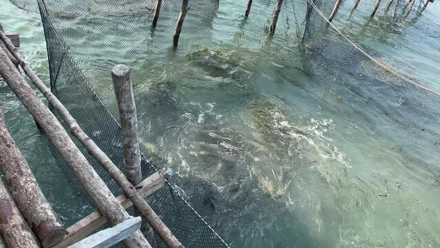 Fisherman house in the Indian Ocean Fishing boat catch grow fish fish farm Vietnam phu Quoc island. Restaurant on the water catch fish grow nets wooden house Cloudless sky and calm water