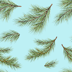 seamless pattern. Blue background. Pine branch watercolor isolated illustration. green natural forest christmas tree. needles branches greenery hand drawn. fir branch. holiday celebration new year