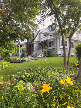 Yellow lily flower  in nature in craftsman  house garden summer