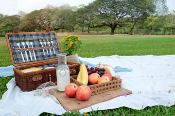 icnic basket with fruits and milk bottles on a picnic blanket in the park, beautiful summer day