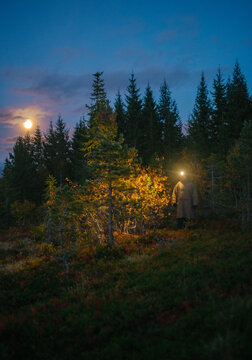 Moody image of a person standing in the forest at night