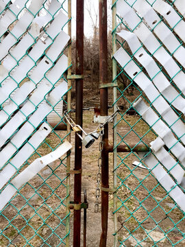 Multiple padlocks connected to secure a chain around an old rusty gate