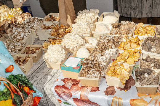 Mushrooms At Farmers Market
