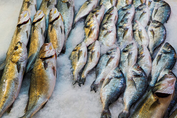 Seafood prepared for sale at the fish market in Kusudasi. Türkiye	