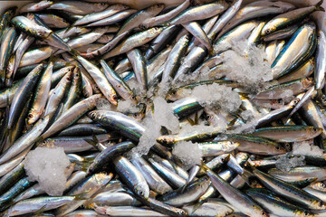 Seafood prepared for sale at the fish market in Kusudasi. Türkiye	