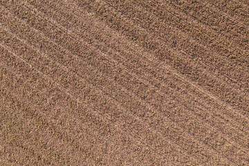 Wide shot of arable land showcases the beauty of countryside farming, with natural light accentuating the earth's textures and patterns.