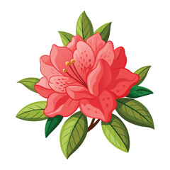 Azalea Flower Illustration on White Background