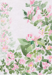 Watercolor background of small pink honeysuckle flowers