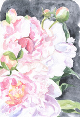 Watercolor peonies background