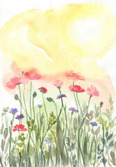 Watercolor floral background poppy field