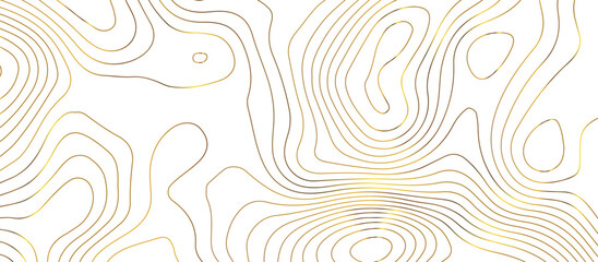 Fototapeta na wymiar Abstract pattern with lines Topographic map. Geographic mountain relief . Modern design with white background golden line wavy pattern design. Background for desktop, topology, digital art .