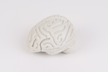 White Human Brain Model on a Plain Background