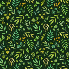 Watercolor seamless pattern with leaves and botanical elements. Hand painted floral illustration isolated on dark green background.