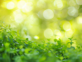 green nature background