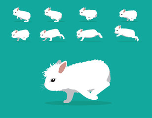 Animal Animation Sequence Rabbit Angora Cartoon Vector