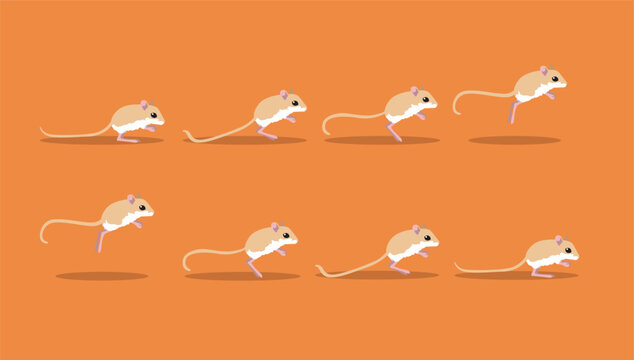 Desert Kangaroo Rat Jumping Animation Sequence Cartoon Vector Illustration
