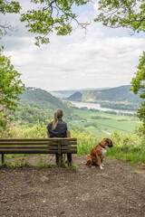 Tourist girl sitting on a bench with a puppy boxer dog looking at the rhine river valley near Andernach from viewpoint - 751186319