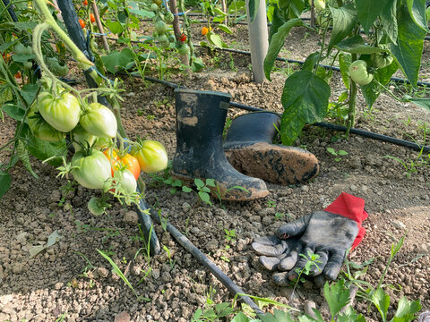 Farmer's  equipment inside the Greenhouse