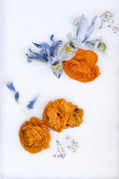 Iris and roses in milk
