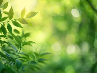 Tuinposter green nature background © AMD Creative
