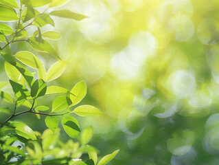Obraz premium green nature background