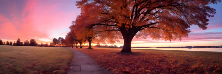 Papier Peint photo autocollant Bordeaux Autumnal Dusk: Splashed Skies and Silhouetted Trees
