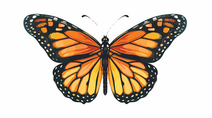 Vector illustration graphic wallpaper of the butterfly.