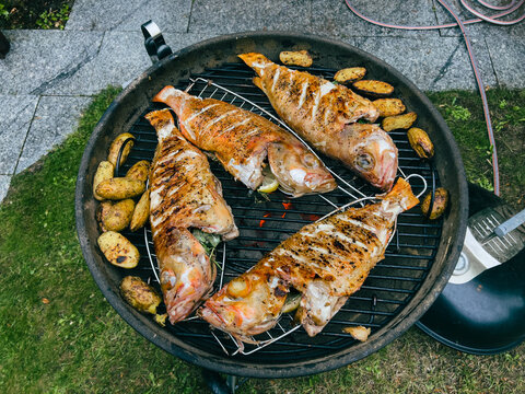 Grilled Fish On Barbecue