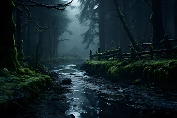 Foto auf Acrylglas Waldfluss Majestic dark forest river at night. Panoramic image