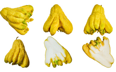 Assorted whole and sliced Buddhas hand citrons isolated on a transparent background, a unique...