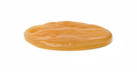 Making kombucha. Scoby fungus isolated on white