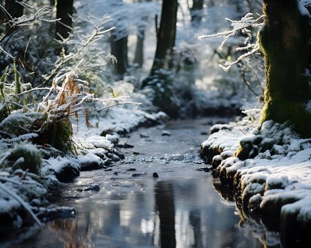 Winter landscape with a river and trees in the forest. High quality photo