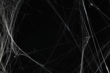 Creepy white spider web on black background - obrazy, fototapety, plakaty