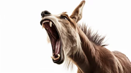 Rolgordijnen Portrait of a screaming donkey © Anaya