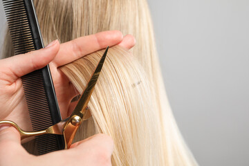 Hairdresser cutting client's hair with scissors on light grey background, closeup. Space for text