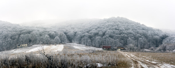 Winter at the edge of the forest in the rural area of Transylvan