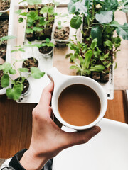 woman holding coffee cup while tending to indoor garden