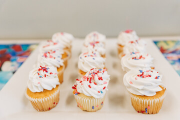 Cupcakes Lined up on plate