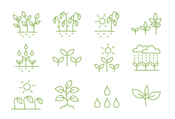 Growing and watering plants. Set of icons. Vector editable outline stroke.