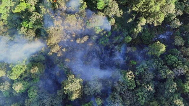 Aerial view of forest fire in forest with forest burning Natural disaster concept from climate change Fire and smoke pollution. Forest burning, deforestation and large plumes of smoke