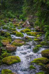 Fulufj&auml;llet National Park,  national park in Sweden, located in the commune of &Auml;lvdalen, in the Dalarna region.